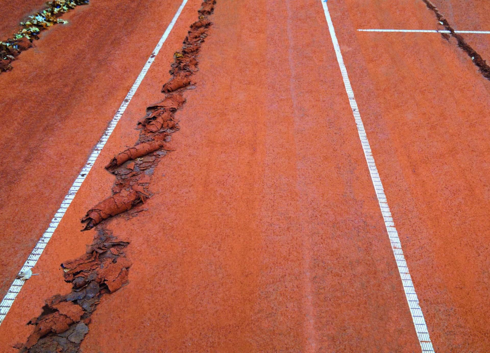 <i class='fas fa-angle-double-right'></i> Mossy spots? Hardened old sand? Encrusted courts? A convincing work result! The TM2 literally shaves problems away.